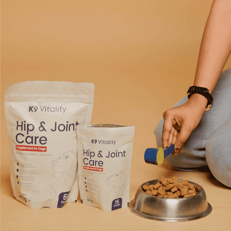 dog hip and joint care supplement