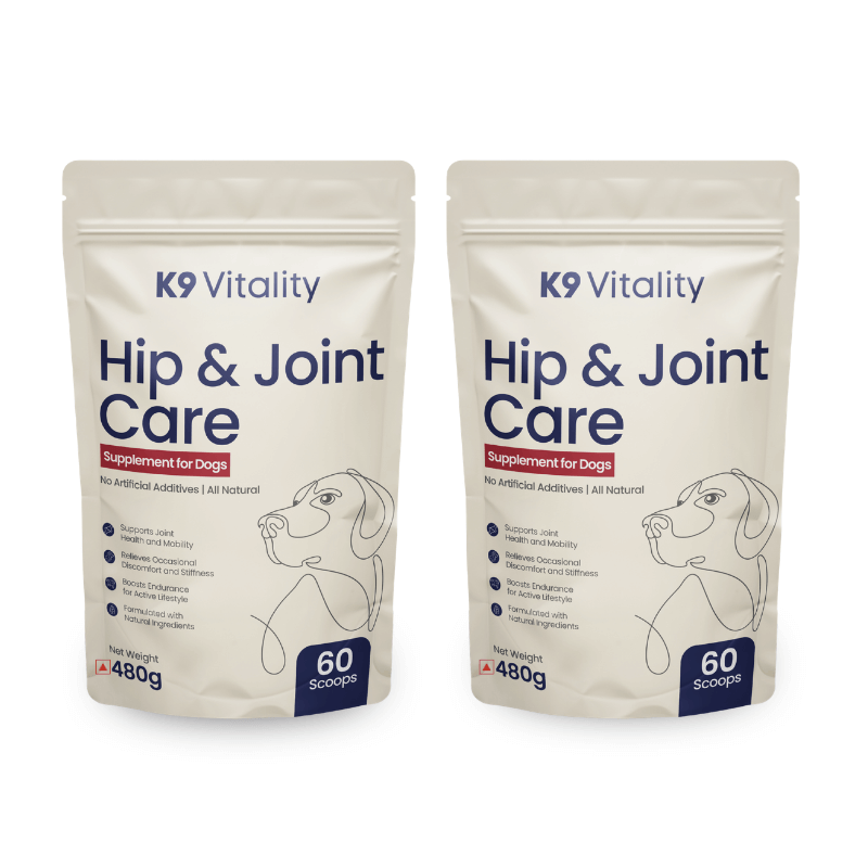 dog mobility health supplement