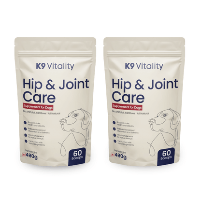 dog mobility health supplement