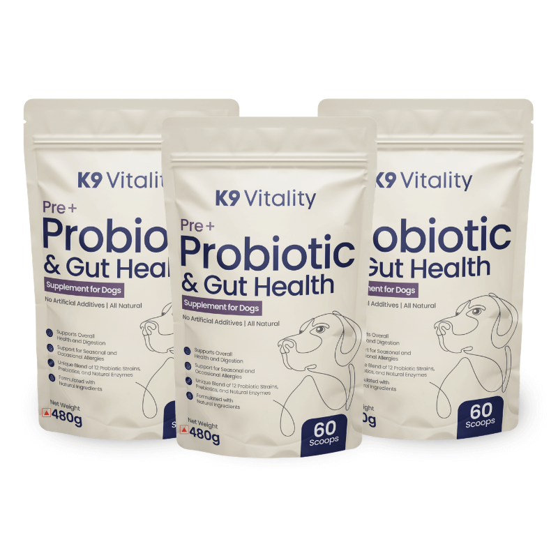 healthy probiotics supplements for dogs