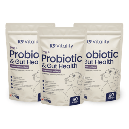 healthy probiotics supplements for dogs