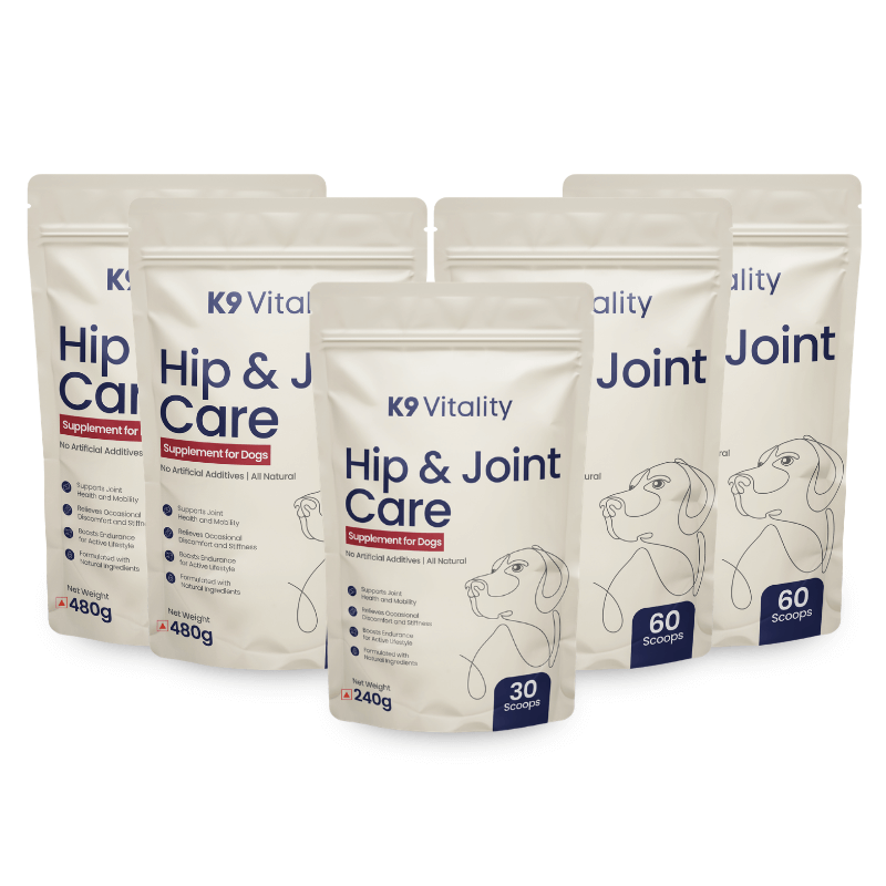 hip and joint care supplement for dogs nutrition