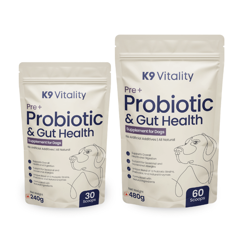 probiotics supplements for dogs digestive health