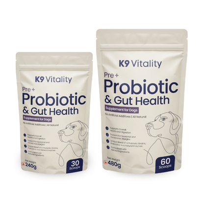 probiotics supplements for dogs digestive health