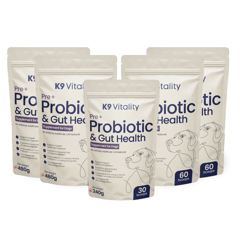 probiotics supplements for dogs for overall gut wellness