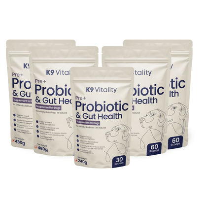 probiotics supplements for dogs for overall gut wellness