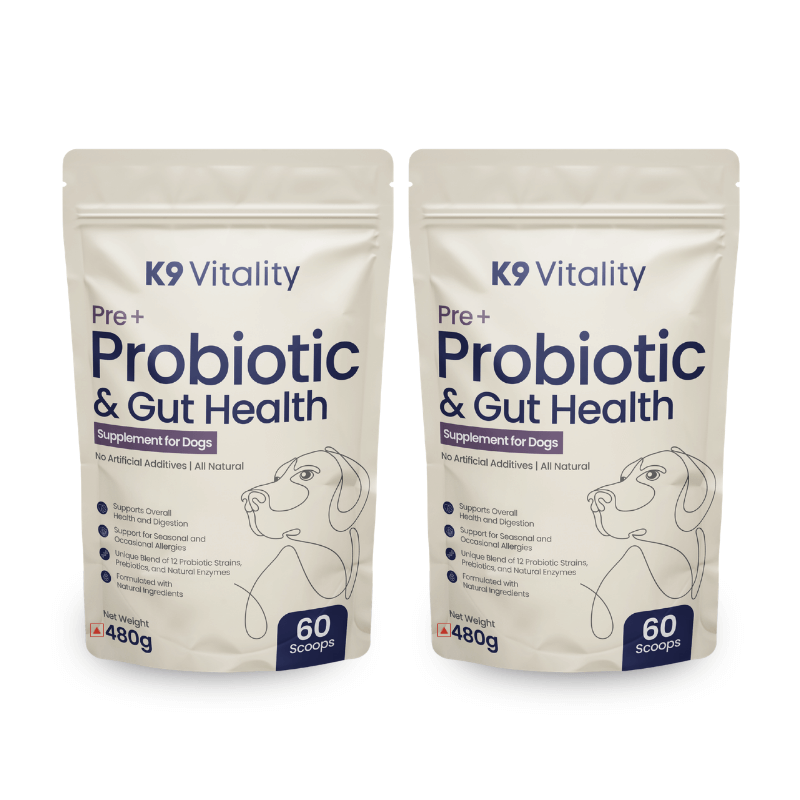 probiotics supplements for dogs with sensitive stomach