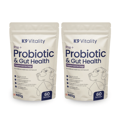 probiotics supplements for dogs with sensitive stomach