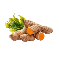 Turmeric + Astaxanthin