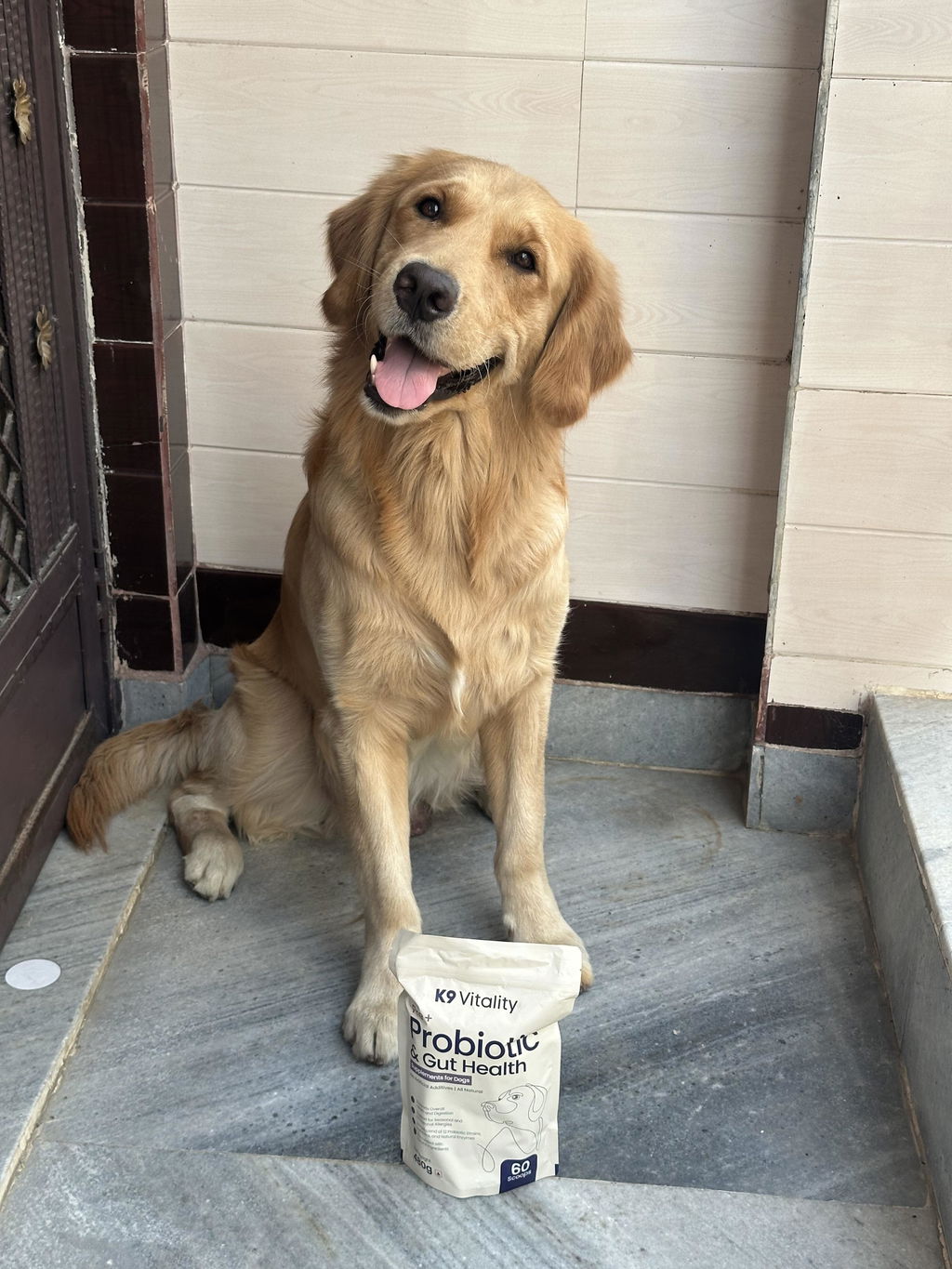 Golden Retriever at home, customer review photograph