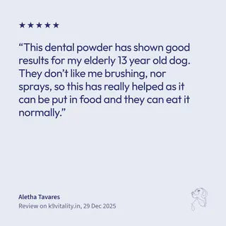 A 5-star Dental & Oral Health review from Aletha Tavares