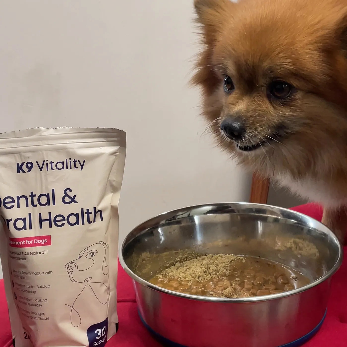 A Pomeranian looking at a bowl of food beside the Dental & Oral Health pack