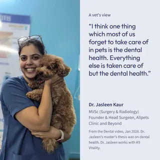 Dr. Jasleen Kaur, veterinary surgeon, quoted on Dental & Oral Health