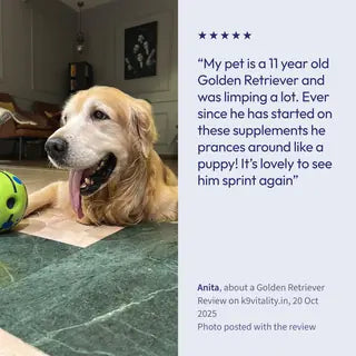 A 5-star Hip & Joint review from Anita, with a photo of the Golden Retriever it is about