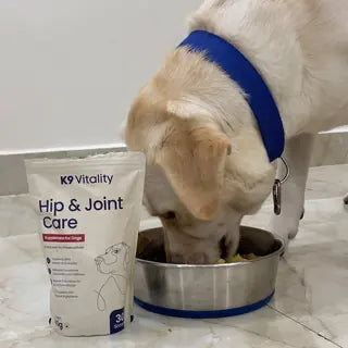 A Labrador eating from a steel bowl beside the Hip & Joint Care pack