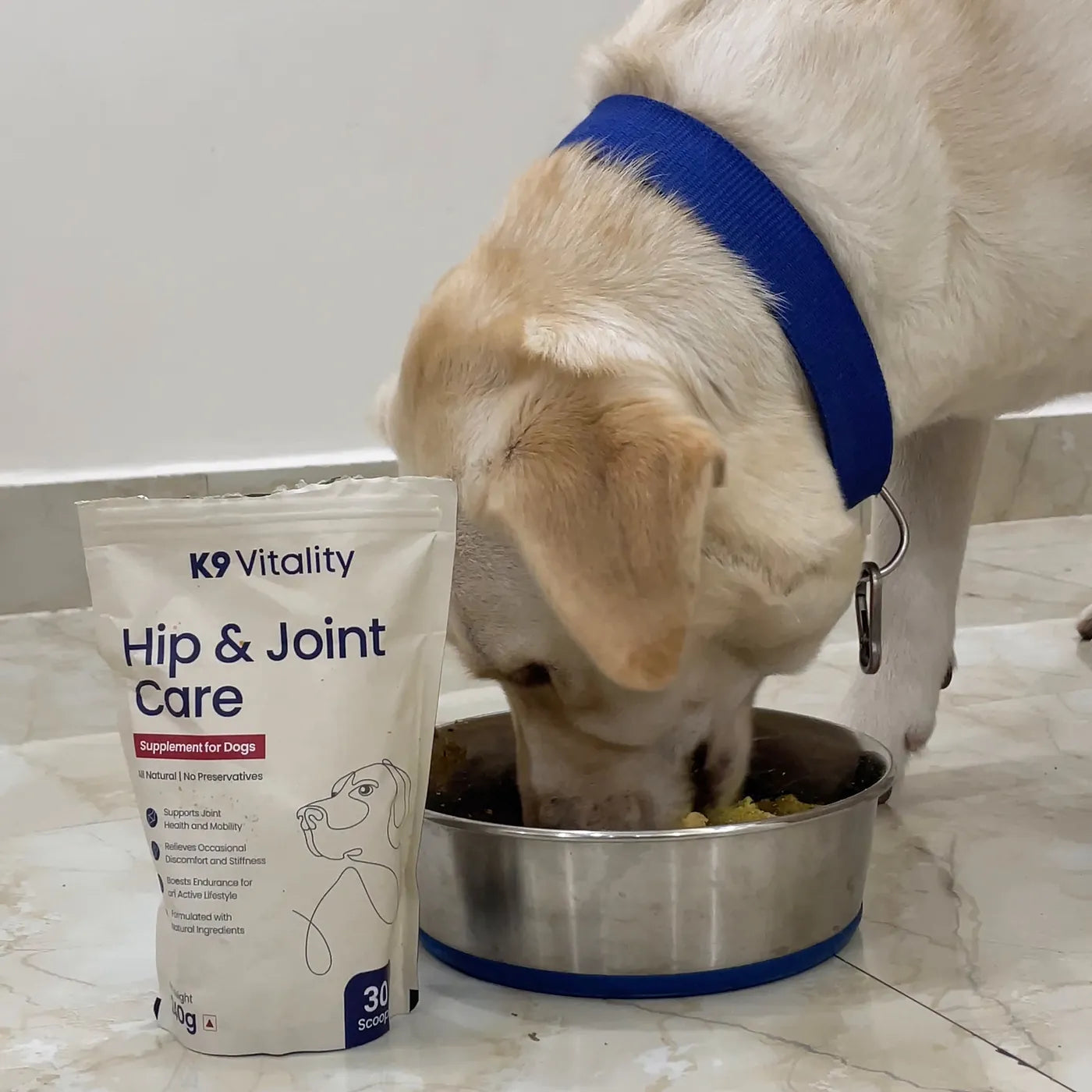 A Labrador eating from a steel bowl beside the Hip & Joint Care pack