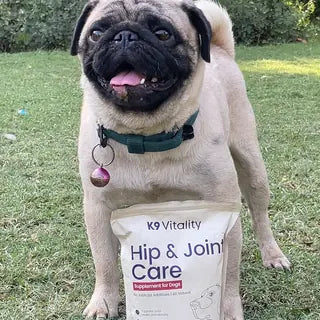 A pug standing on the lawn beside the Hip & Joint Care pack